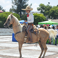 FERIA MEXICANA 2017