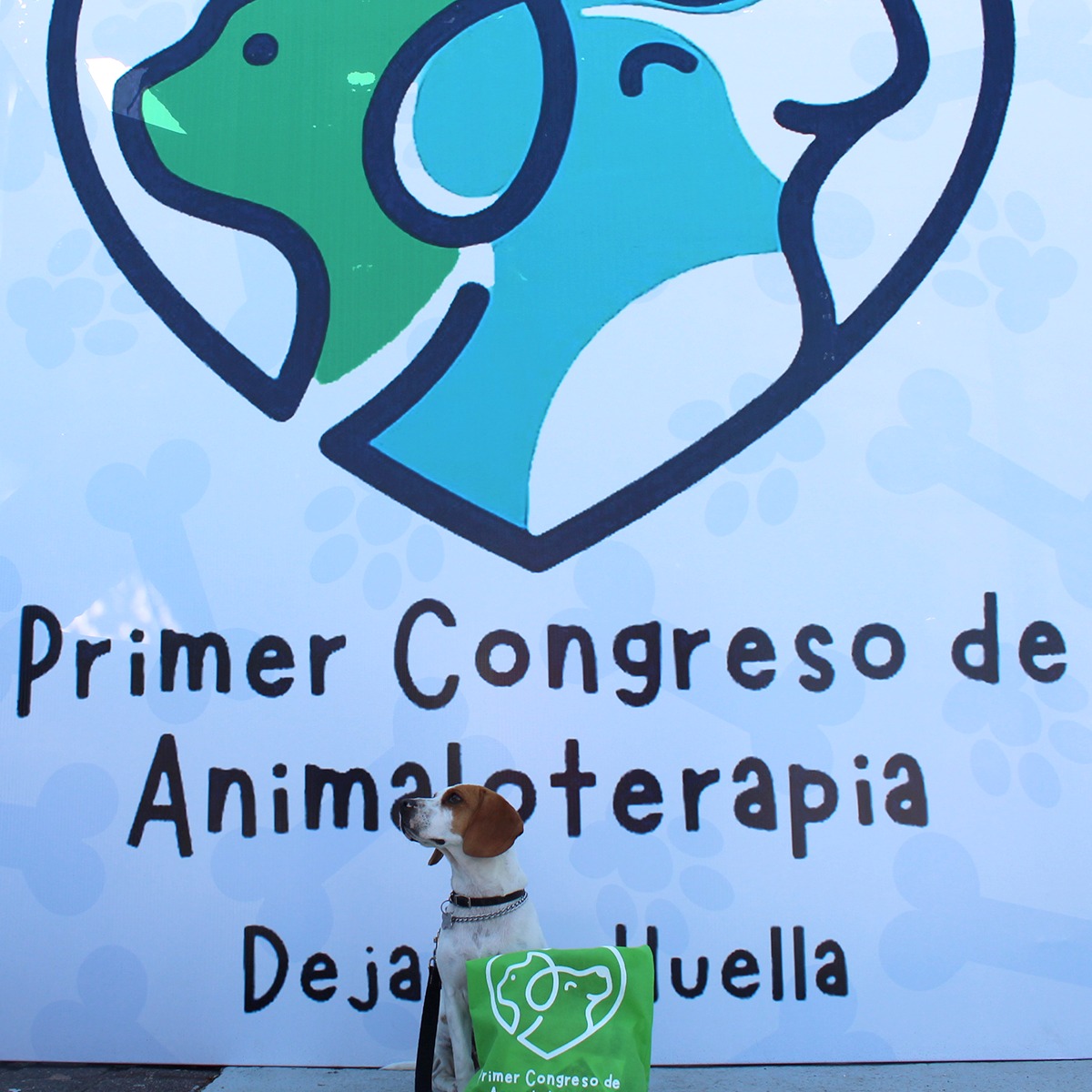 PRIMER CONGRESO DE ANIMALOTERAPIA: DEJANDO HUELLA
