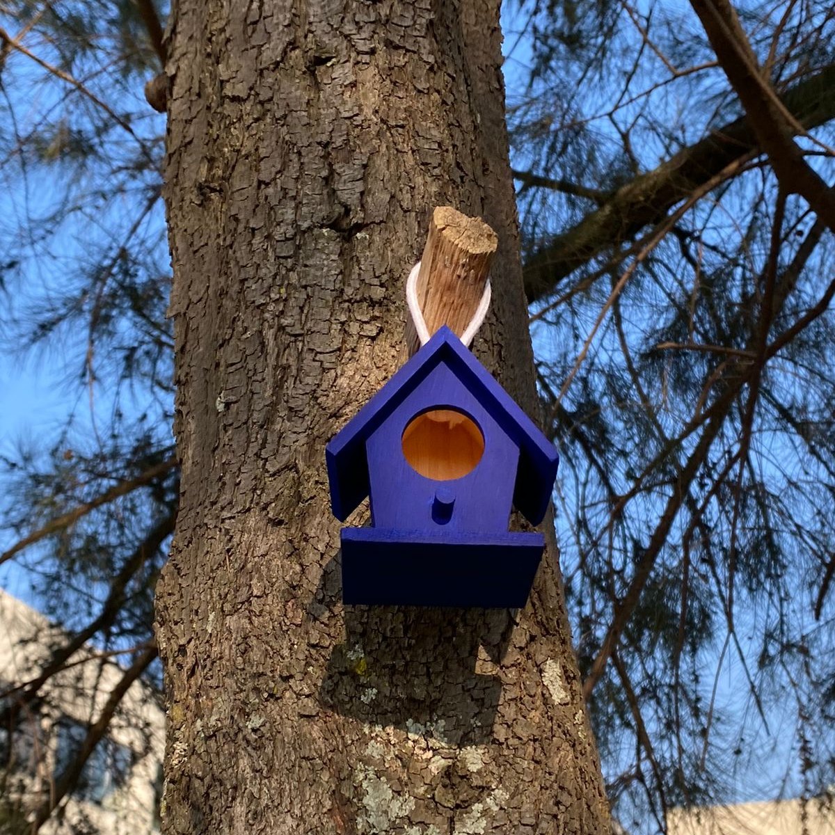 INICIATIVA “CASITAS PARA PÁJAROS” POR PARTE DEL EQUIPO DE STAFF