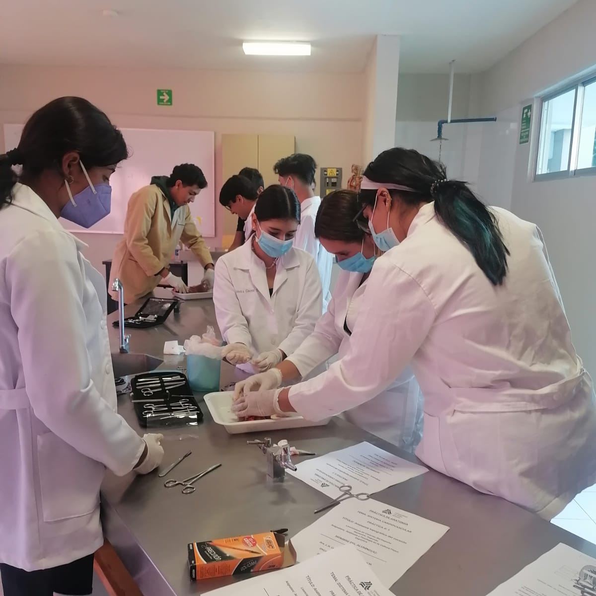 PRÁCTICA DE ANATOMÍA Y FISIOLOGÍA DE LOS ALUMNOS DE LA LICENCIATURA CIENCIAS EN EL DEPORTE 