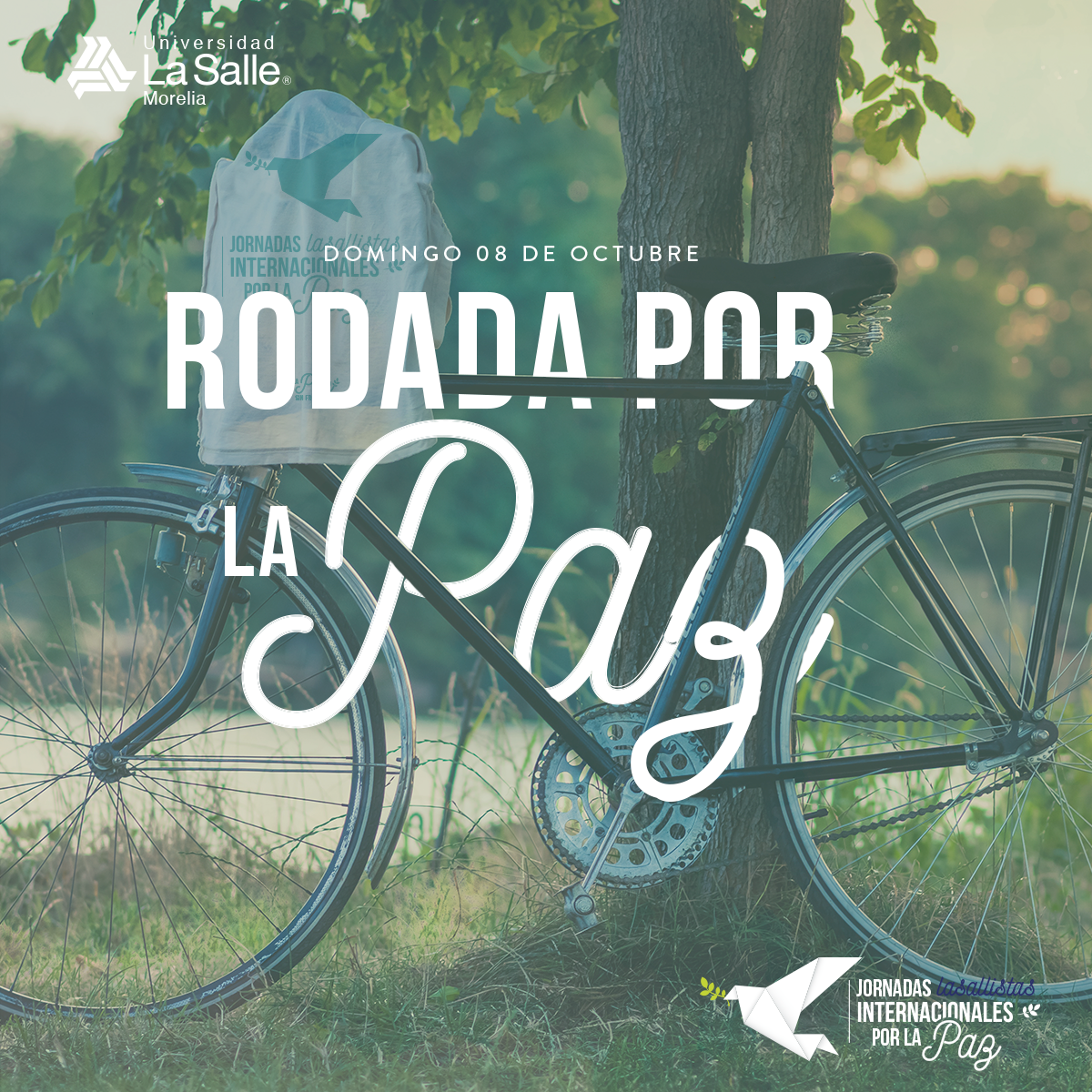 Rodada por la Paz